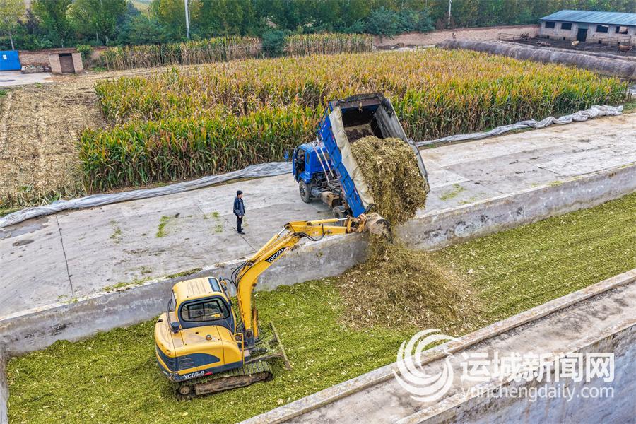 秸秆变身农业“新资源”