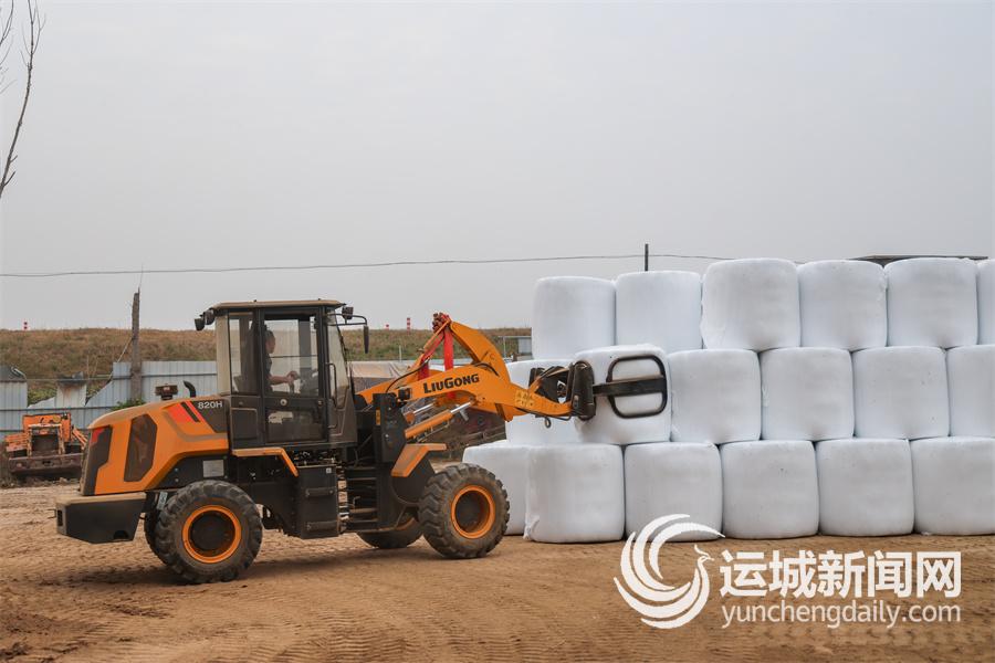 秸秆变身农业“新资源”(图3)