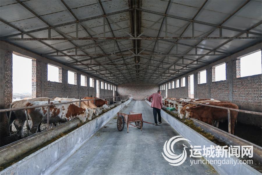 秸秆变身农业“新资源”(图2)