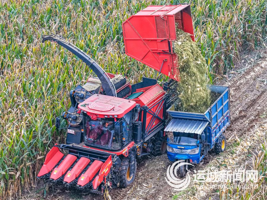 秸秆变身农业“新资源”(图4)