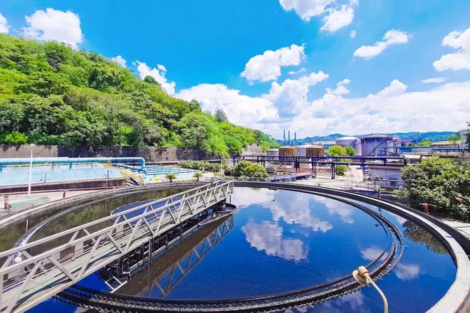 又双叒叕第一！川维化工再次登顶重庆市“环保诚信企业”(图2)