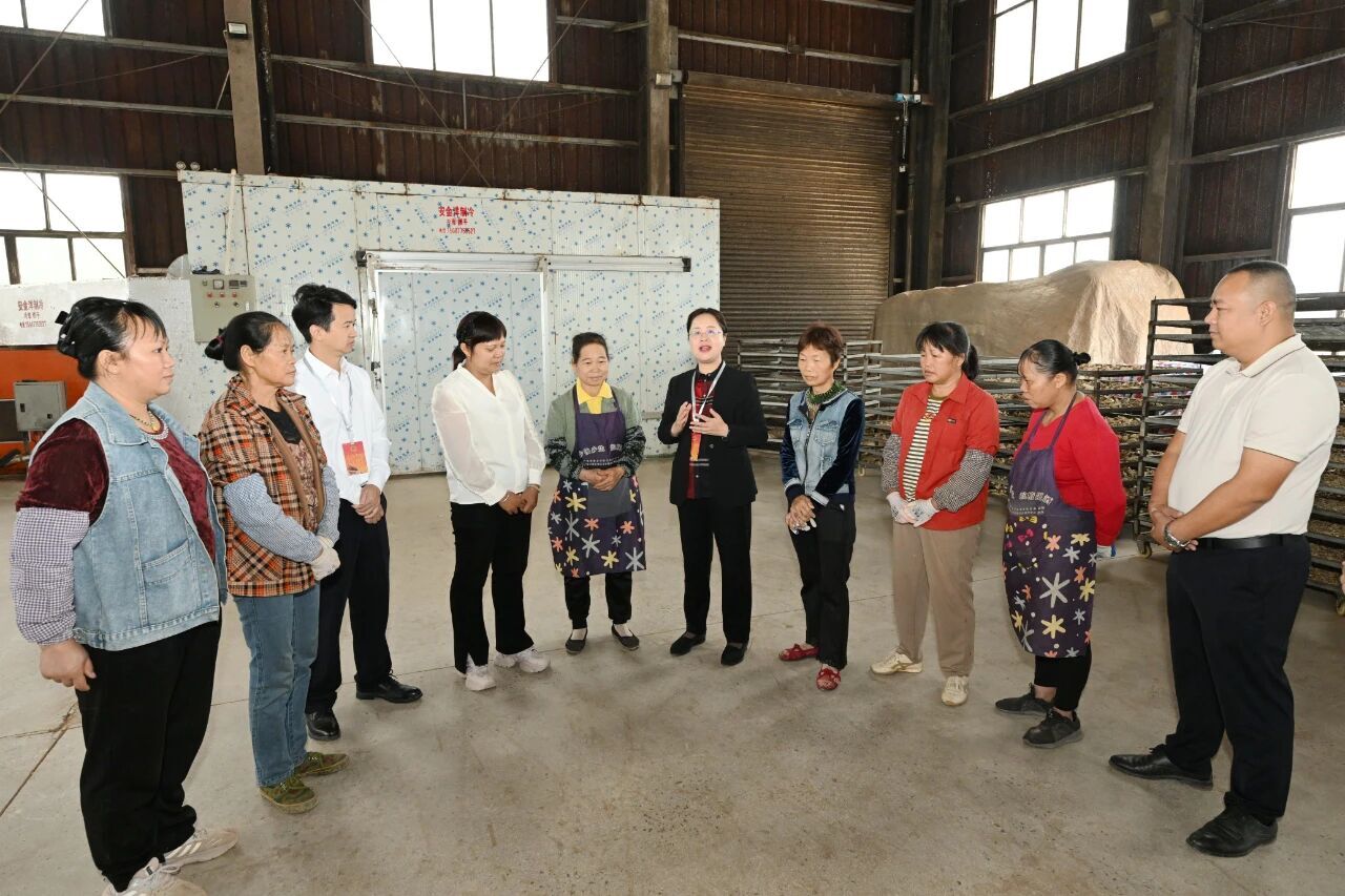 米乐M6平台：钟畅姿到灵山县陆屋镇宣讲党的二十届四中全会精神并开展人大代表进站履职活动(图2)