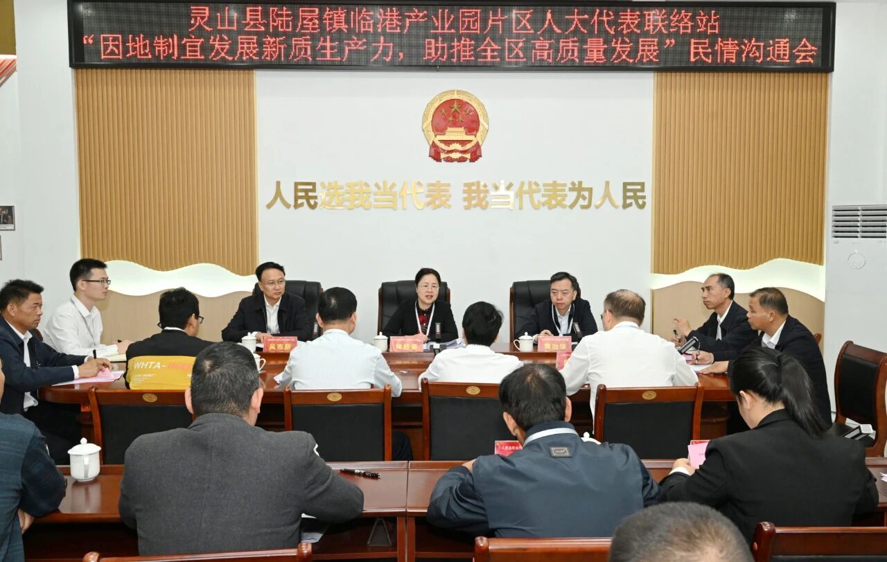 米乐M6平台：钟畅姿到灵山县陆屋镇宣讲党的二十届四中全会精神并开展人大代表进站履职活动(图3)