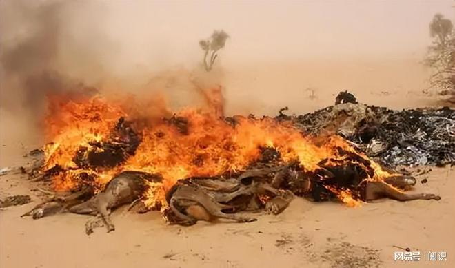 米乐M6平台：卫星拍实焚烧痕迹！苏丹人道灾难升级国际援助为何难破局(图6)