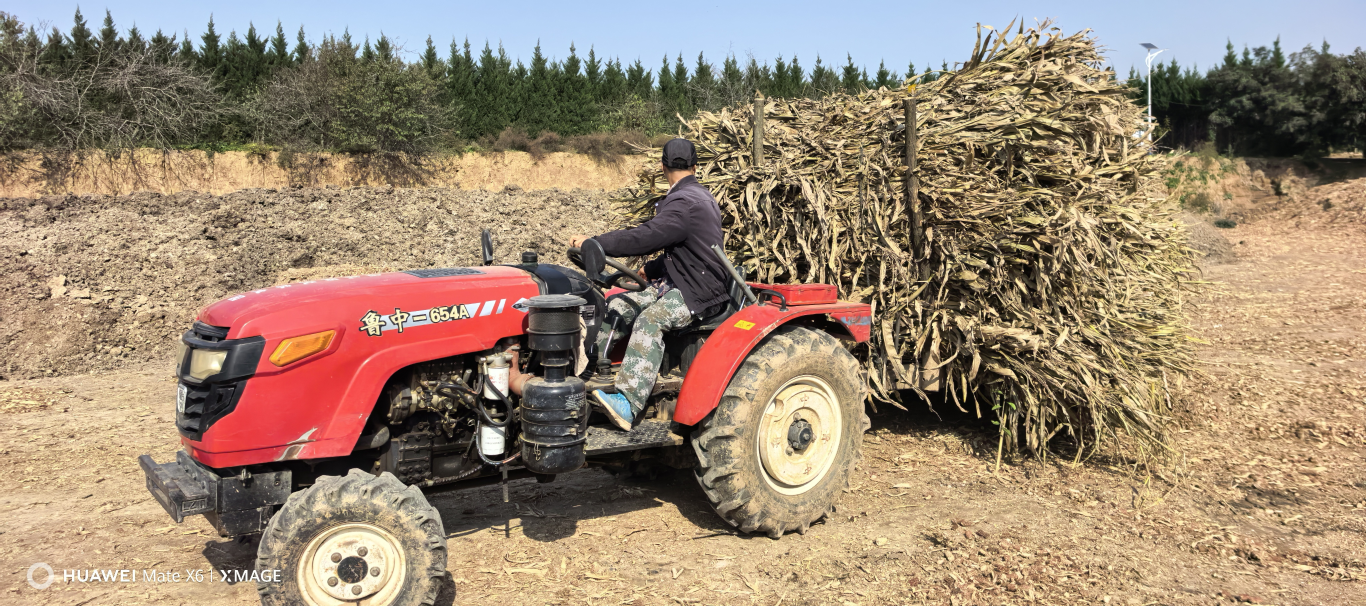 米乐M6：青化镇：秸秆“点废成金”“丰”田又“富”民