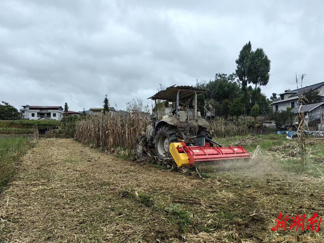 龙山秸秆利用率超95%年均带动农户节本增收2000余万元(图2)