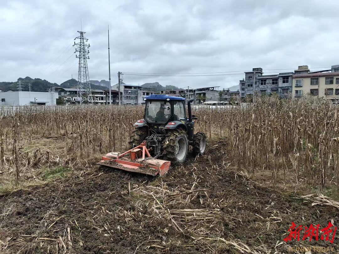 龙山秸秆利用率超95%年均带动农户节本增收2000余万元