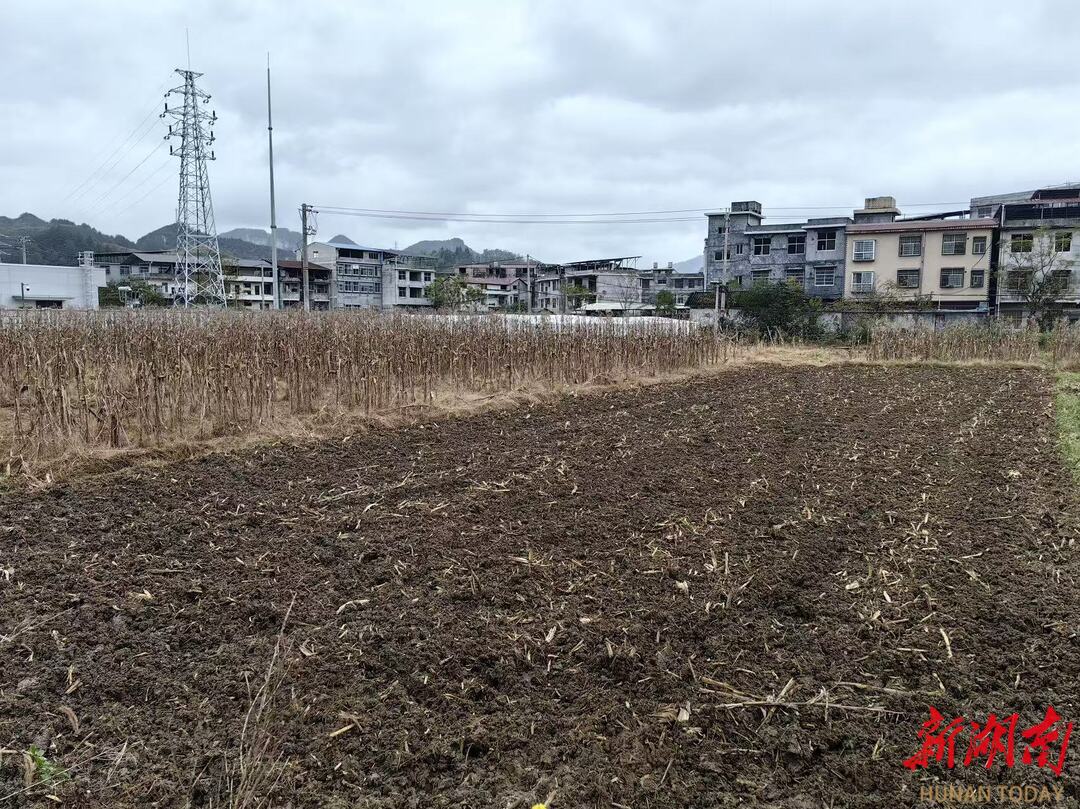 龙山秸秆利用率超95%年均带动农户节本增收2000余万元(图3)