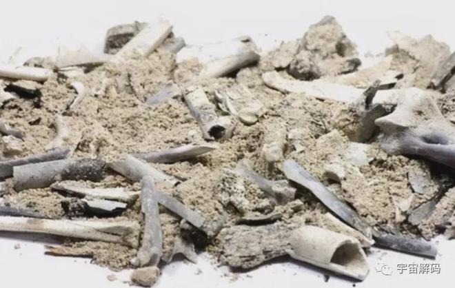 火葬场在火化遗体时为什么不让家属靠近？(图5)