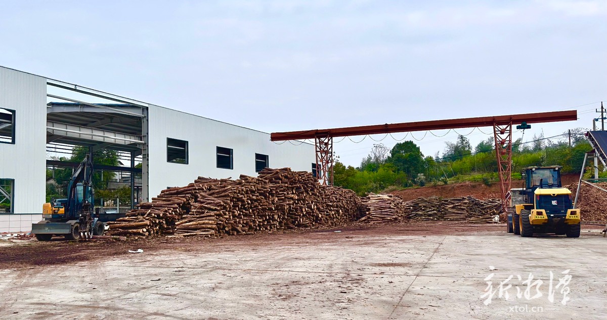 一条农村路“养成”一串企业家(图4)