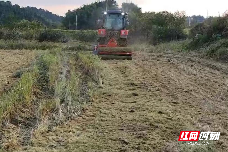 米乐M6：永兴县：秸秆“变废为宝”串起农业生态链