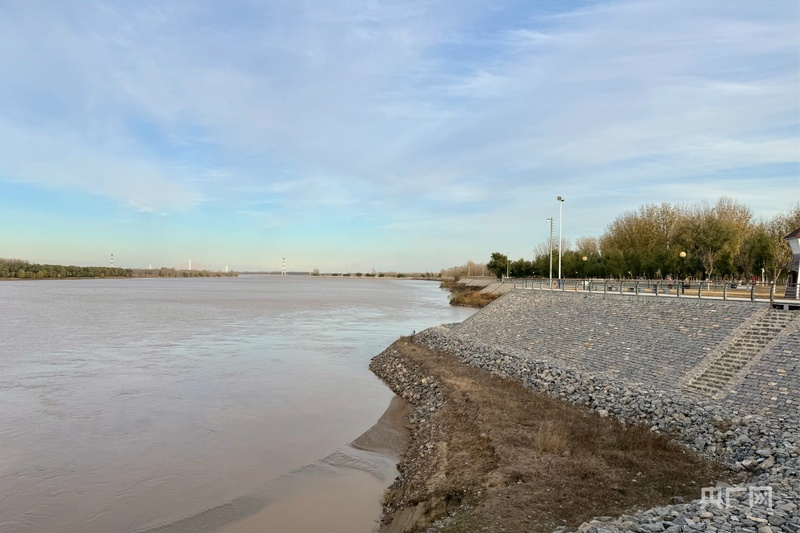 米乐M6：黄河岸边是我家｜以生态为笔以产业为墨山东做优黄河大文章(图2)