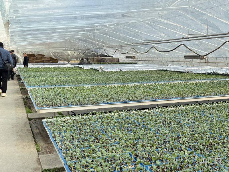 米乐M6：黄河岸边是我家｜以生态为笔以产业为墨山东做优黄河大文章(图4)