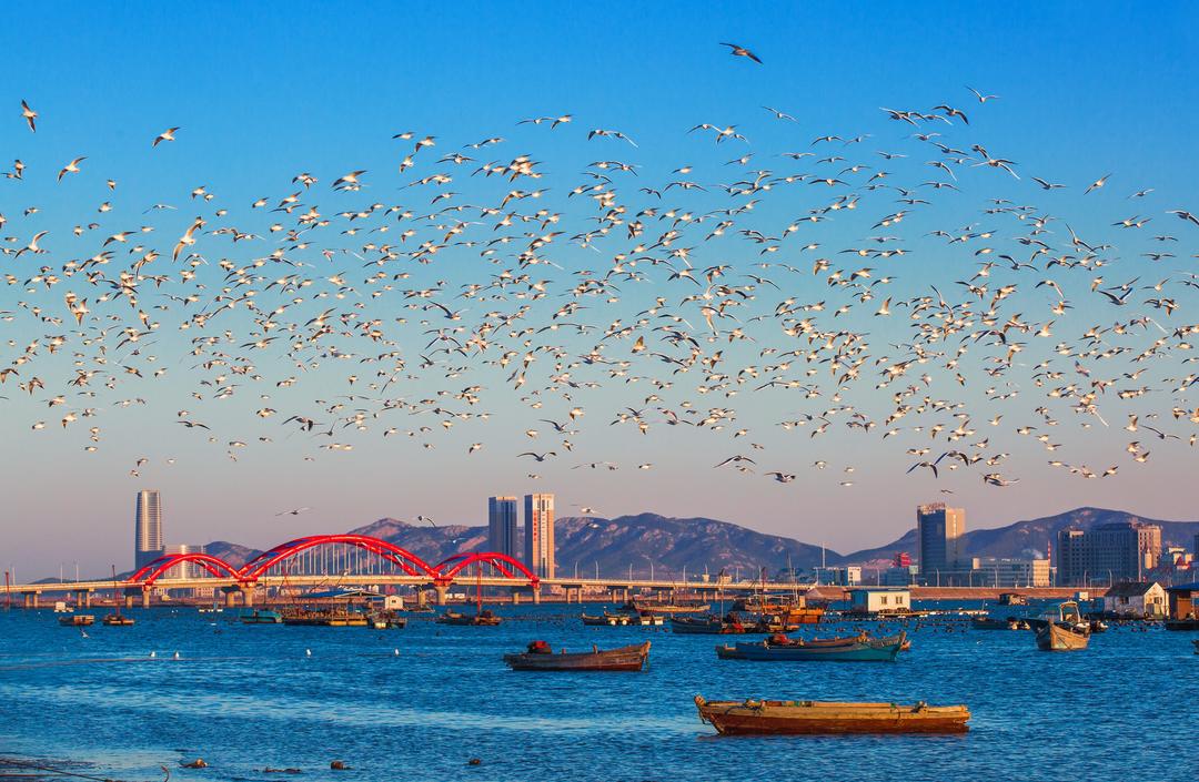 米乐M6：建设绿色低碳高质量发展先行区烟台如何当好“示范生”？_山东_大众网(图6)