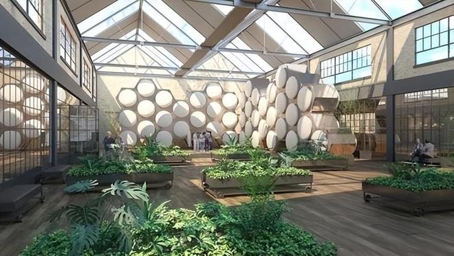 “火葬”将被淘汰？新方式已经在国内试用很多人表示不能接受(图8)