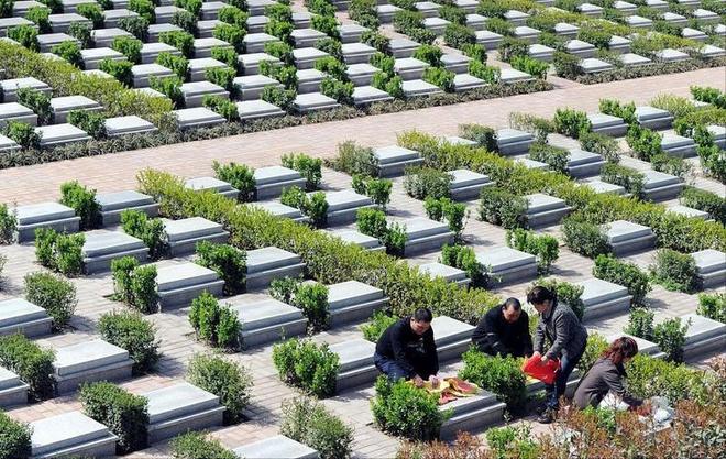 “火葬”将被淘汰？新方式已经在国内试用很多人表示不能接受(图7)