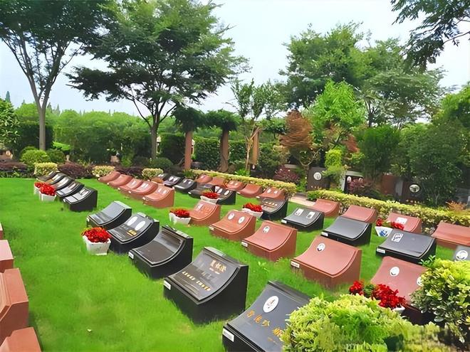 “火葬”将被淘汰？新方式已经在国内试用很多人表示不能接受(图11)