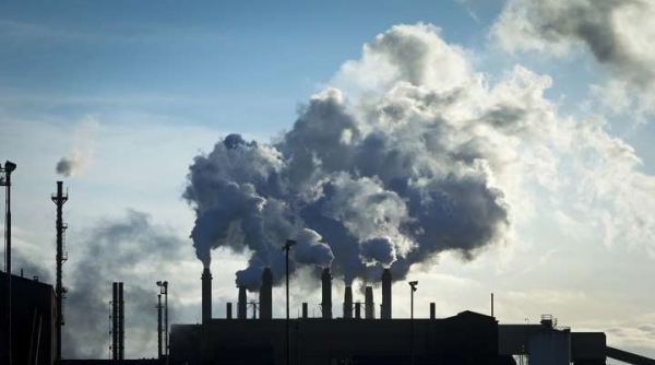 印度德里空气污染持续恶化甚至小动物们都患上了支气管炎！(图11)