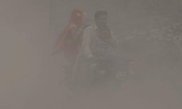 印度德里空气污染持续恶化甚至小动物们都患上了支气管炎！(图12)