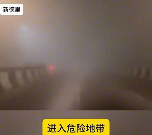 印度德里空气污染持续恶化甚至小动物们都患上了支气管炎！(图14)