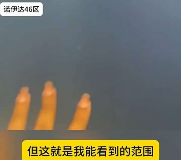 印度德里空气污染持续恶化甚至小动物们都患上了支气管炎！(图3)