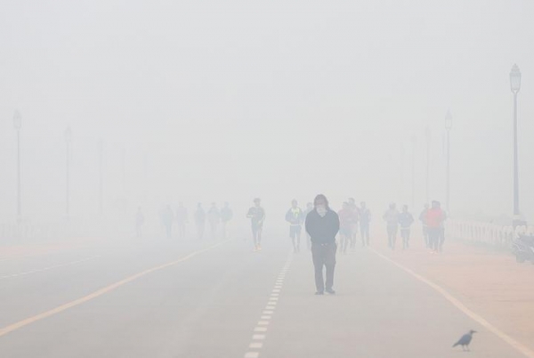 印度德里空气污染持续恶化甚至小动物们都患上了支气管炎！(图5)