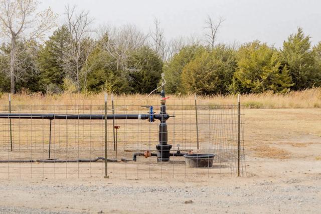 米乐M6平台：微软将从Xprize初创公司VaultedDeep购买大量碳去除产品