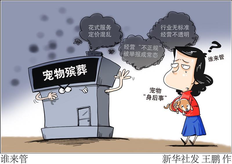 宠物“身后事”成新蓝海！沪人大代表：千亿级市场呼唤规范与监管(图3)