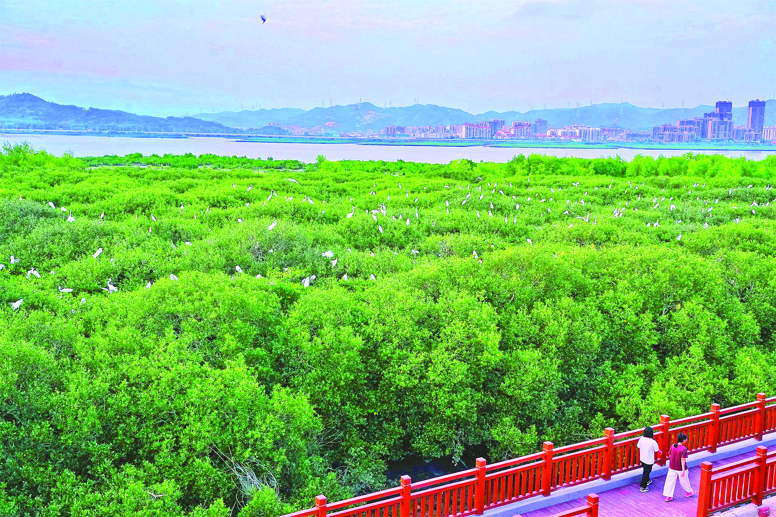 米乐M6平台：惠州“十四五”期间绘就高质量发展生态底色(图3)