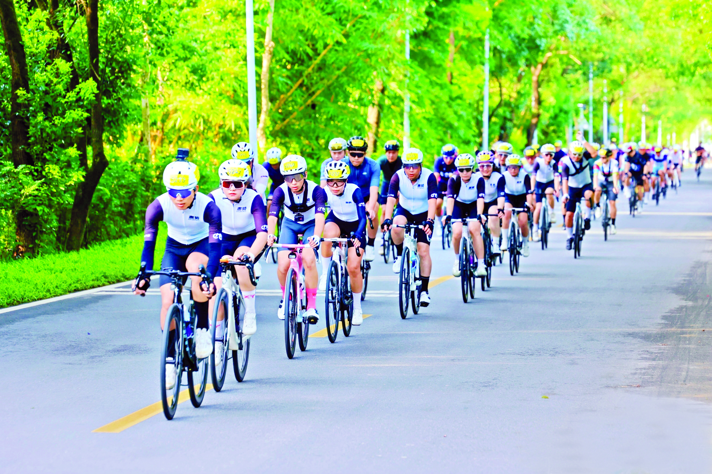 米乐M6平台：惠州“十四五”期间绘就高质量发展生态底色(图5)