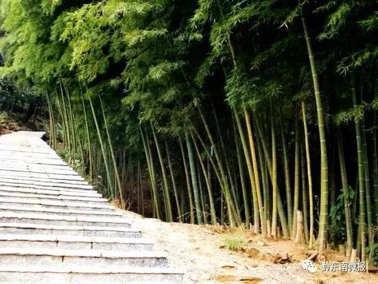 米乐M6：中央环保督察贵州进行时环保督察第二十二天办结1294件群众投诉(图7)