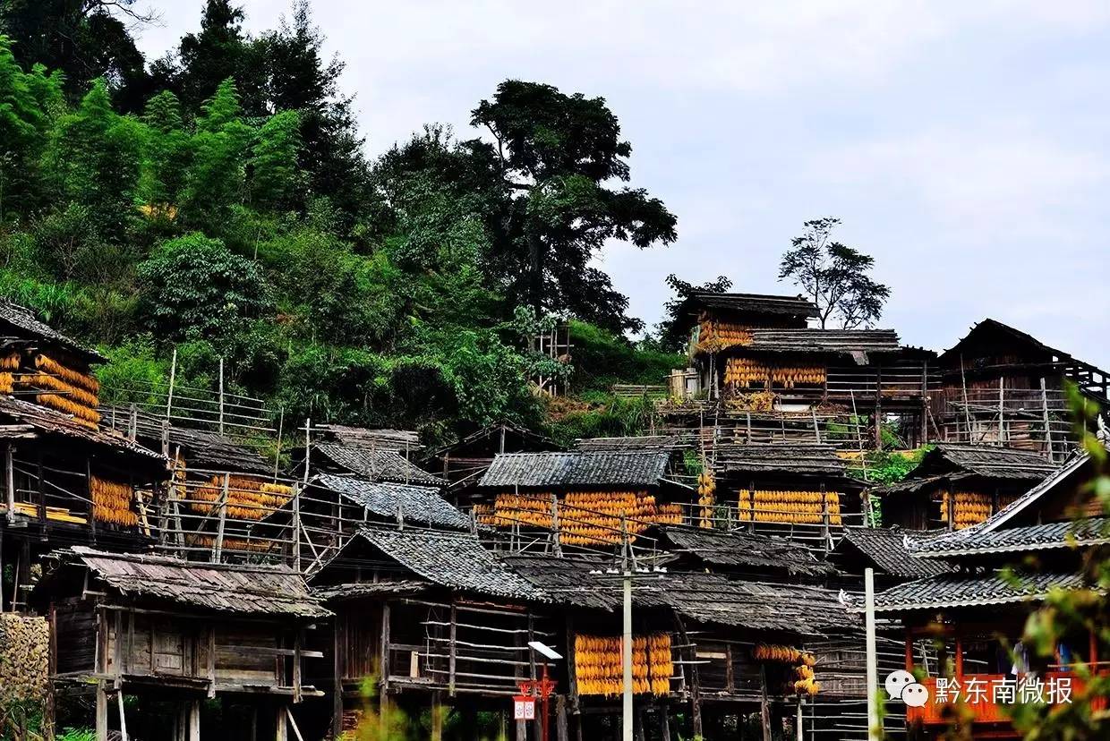 米乐M6：中央环保督察贵州进行时环保督察第二十二天办结1294件群众投诉(图8)