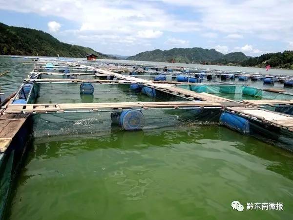 米乐M6：中央环保督察贵州进行时环保督察第二十二天办结1294件群众投诉(图10)