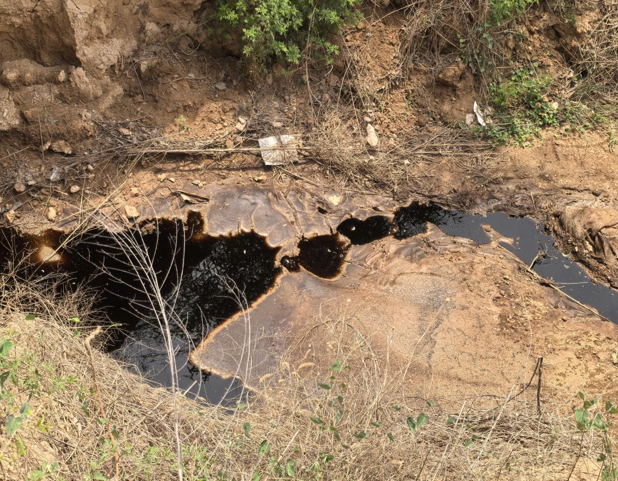 违规填埋、污水直排中央生态环境保护督察通报山西、宁夏典型案例(图1)