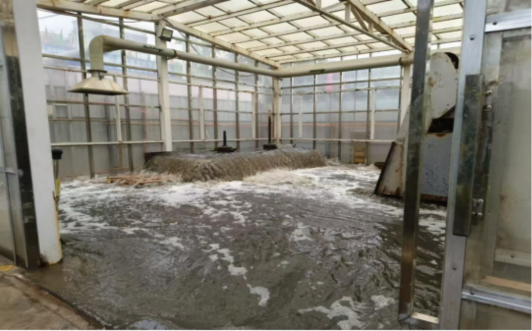 违规填埋、污水直排中央生态环境保护督察通报山西、宁夏典型案例(图4)